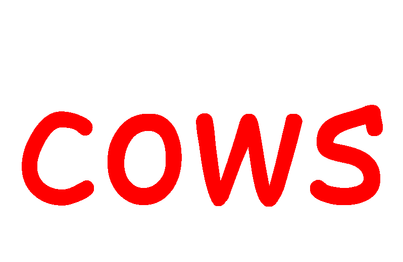 英语