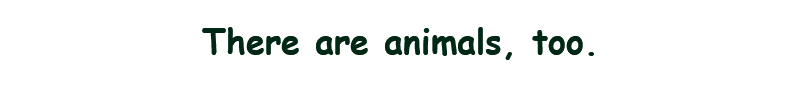 聚光