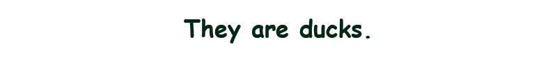 聚光