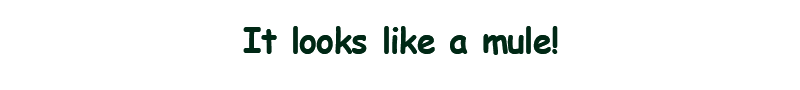 聚光